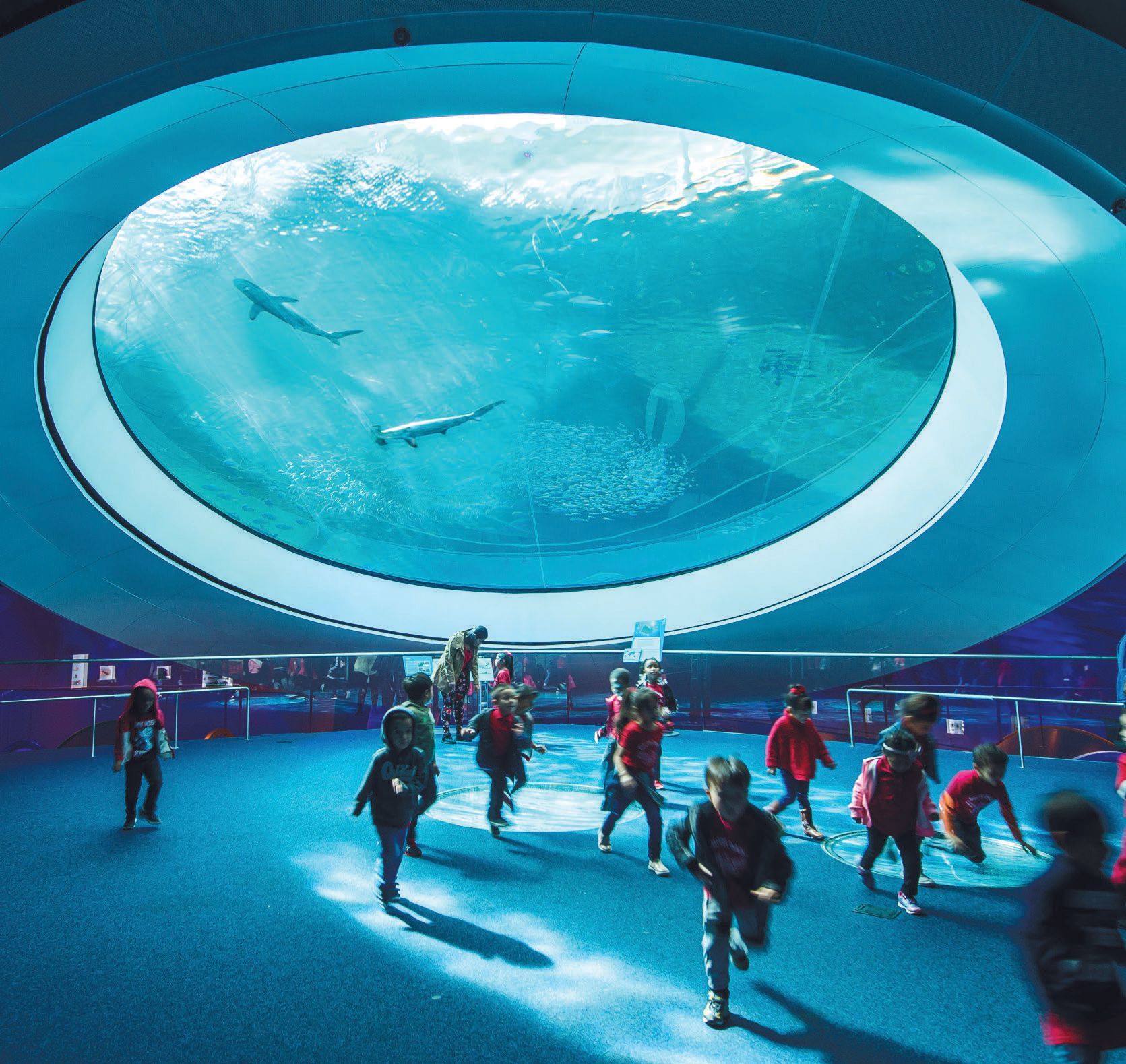 Frost Science is the perfect destination to honor our planet and celebrate Earth Day this year. PHOTO COURTESY OF FROST SCIENCE